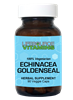 Echinacea  & Goldenseal (Organic) - 90 Veg Capsules