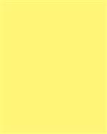Yellow Placemats Paper-24 Ct