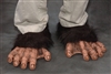 Chimp Feet