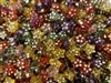 9mm Star Shaped Diamonettes Rhinestone Plastic Beads, 100 ct Bag
