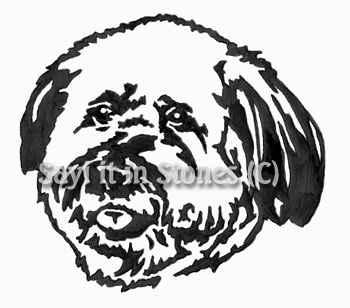 Bichon Frise Dog  Head memorial graphic