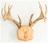 Laser Engraved "The Deer Stand" Antler Mounting Kit
