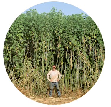 <B>ORDER#: SEED-04B</B> <BR>Han NE Chinese Fiber Planting Seed