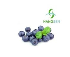 Blueberry Flavor Concentrate by Hangsen