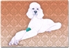 Poodle Boxed Notecards