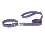 Casual Canine Leather Leash  Ultra Violet 6 Feet long 1 inch wide
