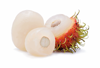 Exotic Fruit Market offers tropical Rambutan fruit grown in Hawaii, Puerto Rico, Honduras, Malaysia and Thailand. The Rambutan is a close relative of the lychee. It distinguishes itself from the lychee by its soft, red hairy rind.