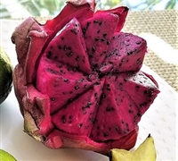 Exotic Fruit Market offers Red Dragon fruits grown in Sunny California, USA. Sweet, juicy dragon fruit is obtained from the cactus family plants of Central American origin, in the genus: Hylocereus. Dragon Fruit is known as pitihaya or pithaya.