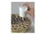 Communion-Cup Filler-Button Release: 788200564804