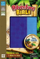 NIV*Adventure Bible (Full Color): 9780310727521