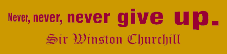 Never Give Up Motivational Quote Banner