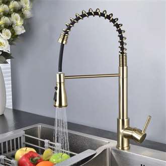 Fontana Toulouse Gold Finish Pull Down Stainless Steel Sensorless Kitchen Faucet