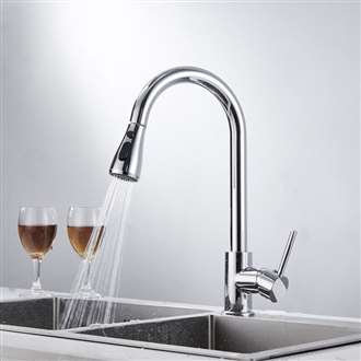 Fontana Carpi Chrome Finish Stainless Steel Kitchen Faucet with Pull Down Sprayer