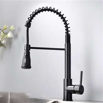 Fontana Geneva Matte Black Finish Stainless Steel Kitchen Faucet with Pull Down Sprayer