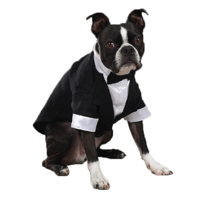 East Side Collection Yappily Ever After Dog Tuxedo