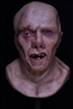 The 82 Resin Display Bust
