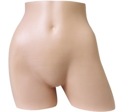 Female Butt Form from www.zingdisplay.com