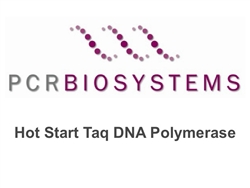 PB10.21-02 PCR Biosystems PCRBio HS Taq DNA Polymerase