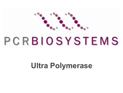 PB10.31-10 PCR Biosystems PCRBio Ultra Polymerase
