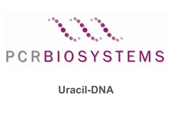 Uracil-DNA glycosylase