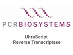 #4SPB30.12-04, UltraScript Reverse Transcriptase, 40,000 units
2x100Î¼l 200 units/Î¼l] & [4x200Î¼l buffer]