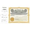 Goes 91 Stock Certificate Form