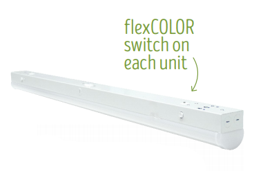 Light Efficient Design, Stairwell/Corridor/Ceiling Retrofit Luminaire, 4 Foot, 32 Watt, Multi-Color -View Product