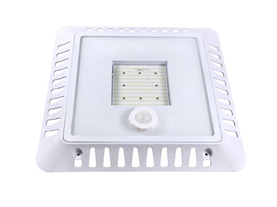 LED Lighting Wholesale Inc. Gas Station Canopy Light, 120 Watt- View Product