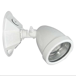 Dual-Lite OCRSW0603L 6V, 3W LED Decorative Outdoor Remote Lighting Head, Wet Location, Single Head, White Finish