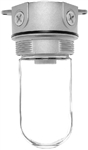 RAB VX100/F13-3/4 Vaporproof 13W Compact Fluorescent (CFL) Lamp 120V Natural Color - With Soda Lime Glass, No Guard
