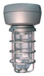 RAB VX2SN35-3/4 Vaporproof 35W High Pressure Sodium HID Lamp 120V Natural Color - With Glass Globe and Die Cast Guard