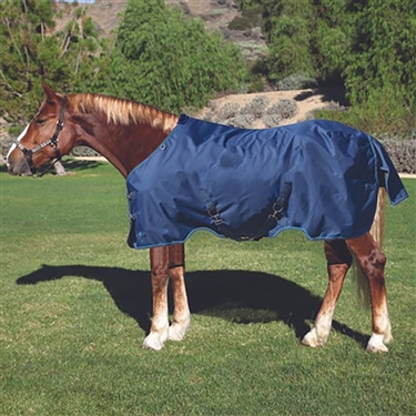 Kensington Signature Medium Weight Draft Horse Turnout Blanket