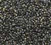 Etched Czech 8/0 Seed Beads - 10 Grams - 8CZ00030-28180 - Crystal Etched Full Vitrail