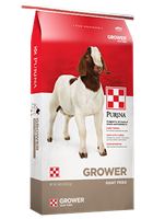 PURINA GOAT GROWER 16 DQ GOAT FEED 50LB