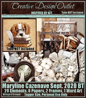 ScrapWDD_IB-MarylineCazenave-September2020-bt