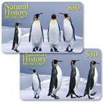 Lenticular gift card with emperor penguins dancing in the Antarctic snow, flip
