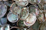 Wholesale Abalone Shell 4"- 5" (Pack of 100)