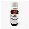 Mimosa Fragrance Oil: Amber Bottle / Fragrance Oil: 10 mL