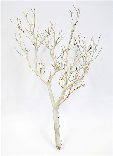 Sandblasted Manzanita Branches 18" tall