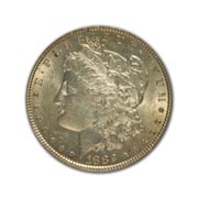 1882S Morgan Silver Dollar in Fine Condition (F15) Graded by AACGS