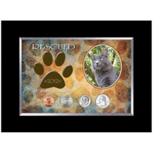 Rescued Year To Remember Cat 4 Coin Frame