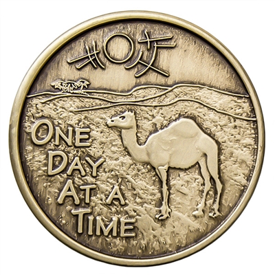 One Dat at a Time - Camel Bronze Recovery Medallion