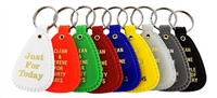 NA Anniversary Key Tags - Full Set - 9 Key Tags of Various Colors and Significance ranging from 24-hours to multiple years | $1.00 each
