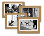 Dogs of Cuba Note Card Set