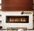 Napoleon LHD62 Linear High Definition Direct Vent Gas Fireplace