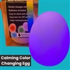 Self Color Changing Egg: Silent Self-regulating Tool for Kids