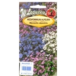 Forget-Me-Not Seed Mix, Myosotis alpestris, Imported from Poland. Eye-catching mixture with inflorescences in interesting colour range: blue, white and pink. Makes a great display on flowerbeds, borders and in containers.