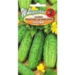 Cucumber Seeds - Ogorek Julian. Imported from Poland.  
Young fruit picked everyday are ideal for cornichons (sour gherkins), older ones, 6-9 cm long are recommended for pickling.
