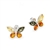 Baltic amber in three colors make up the wings of these beautiful sterling silver stud earrings. Size is approx 0.6" x 0.5".