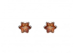 Star shaped amber framed in sterling silver. Size is approx 0.375" diameter. Sterling Silver Studs.
